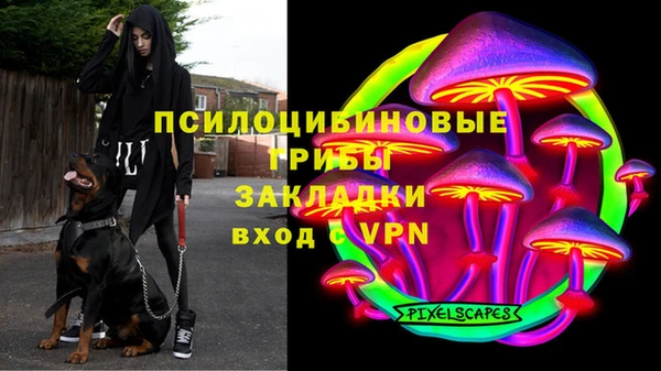 ALPHA PVP Медногорск