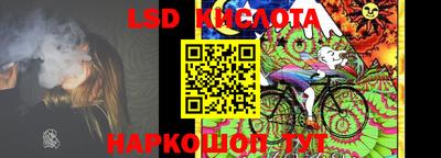 прущие грибы Сланцы