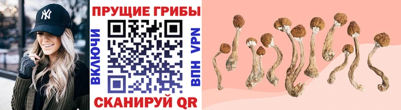 Псилоцибиновые грибы GOLDEN TEACHER Усть-Кут